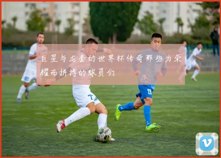巨星与龙套的世界杯传奇那些为荣耀而拼搏的球员们