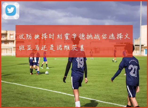 攻防抉择时刻霍华德挑战你选择文班亚马还是诺维茨基