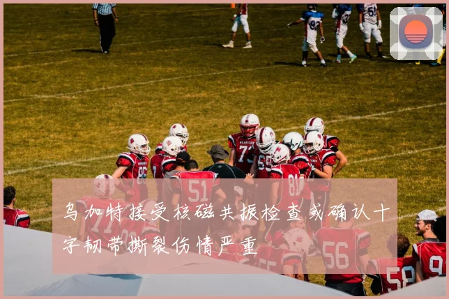 乌加特接受核磁共振检查或确认十字韧带撕裂伤情严重